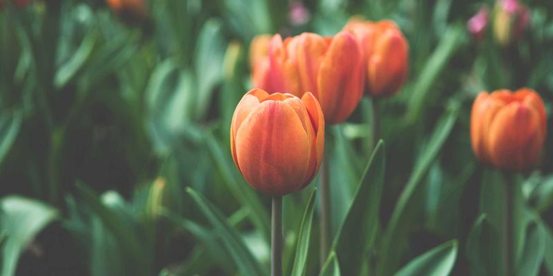 从军事到荒野：专业户外装备的跨界生存智慧