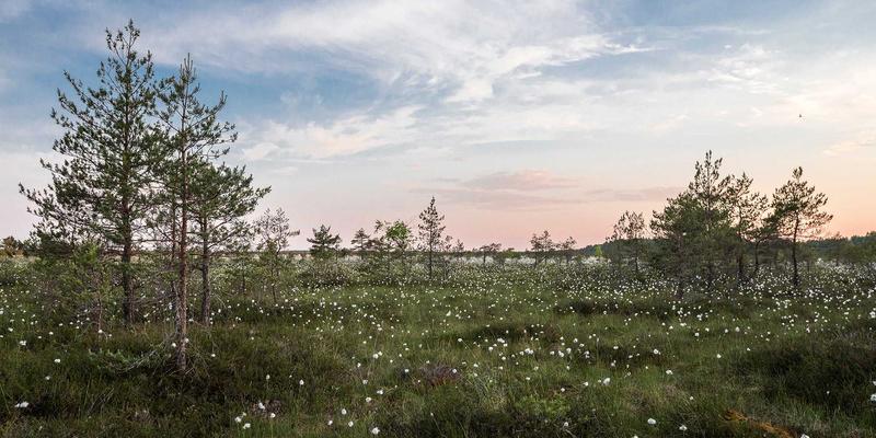 从军事战术到山野露营：硬核户外装备融合攻略