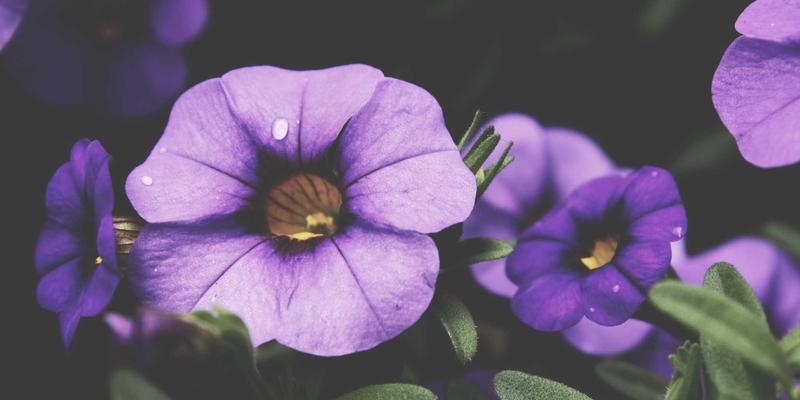 从军事服饰到山野征途：女性专属徒步背包的人体工程学设计与负重生存测试