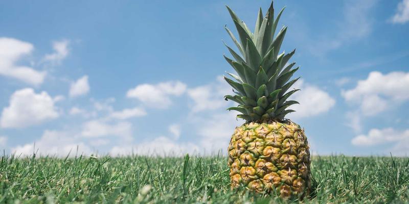 从黑狼帮战术哲学到日常实践：户外装备最佳生存法则