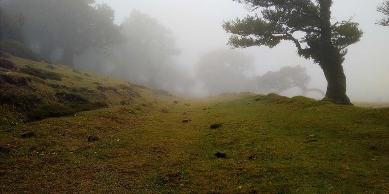 战术装备专家指南：黑狼帮揭秘户外睡眠系统优化，睡垫R值、睡袋温标与营地选择的协同效应