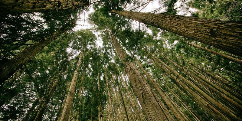 户外背包装填技巧：科学分配重量让徒步更轻松 | 生存工具与露营装备指南