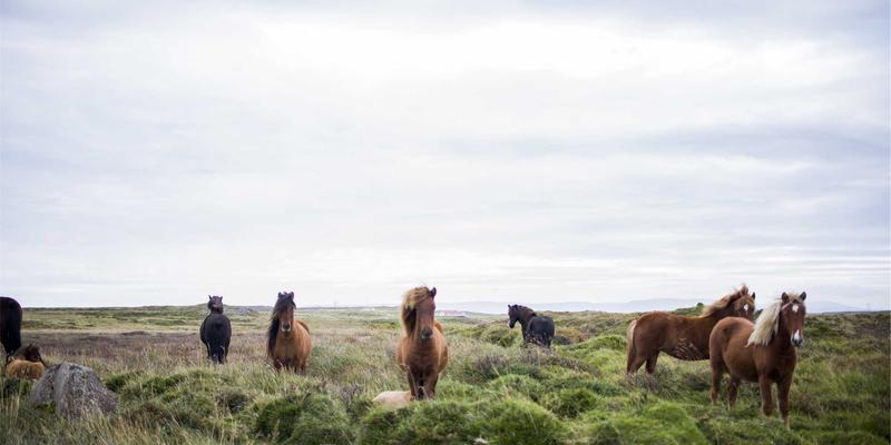 户外装备31：从露营装备到军迷用品，打造全能型野外生存系统