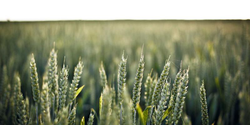 户外装备88:从生存工具到露营装备的智慧选择指南