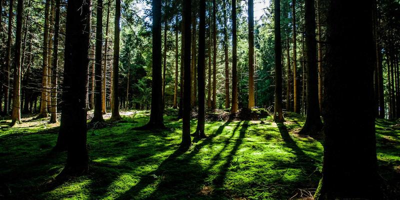 户外装备93：生存工具、露营装备与战术装备的终极指南