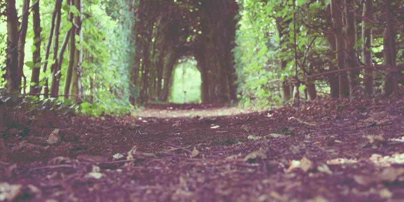 户外装备全攻略:从露营装备到军迷用品的专业选择指南