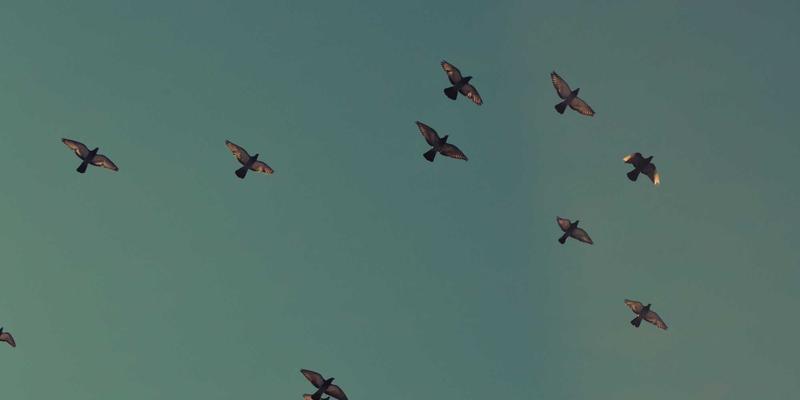 溯溪与溪降运动装备全攻略：从防水包到潜水服，黑狼帮户外装备专家解析