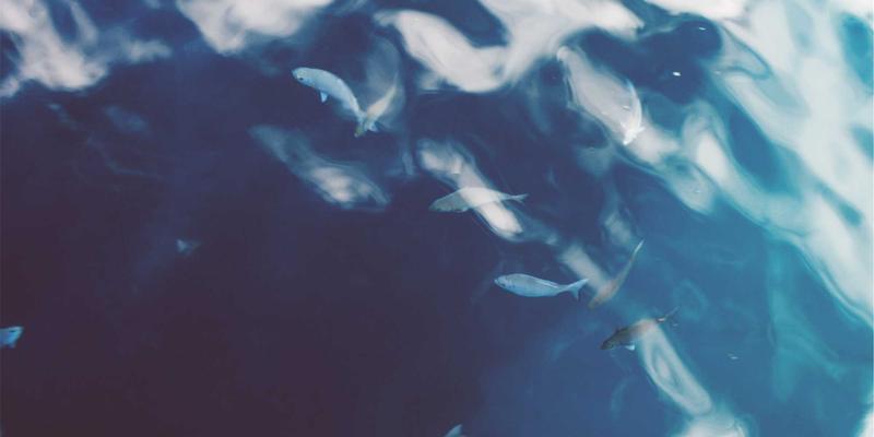 荒野续航革命：太阳能充电板在长线徒步中的实战测评与效率解析