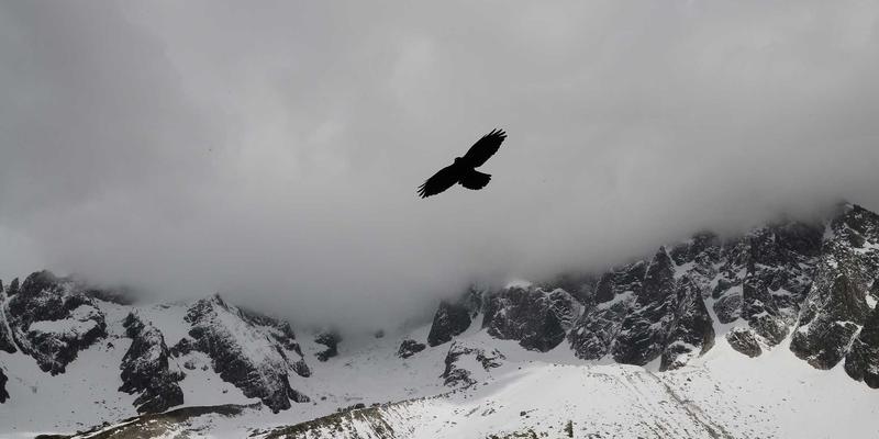 高山攀登技术装备全解析：从冰镐、安全带到头盔的安全标准与选购指南